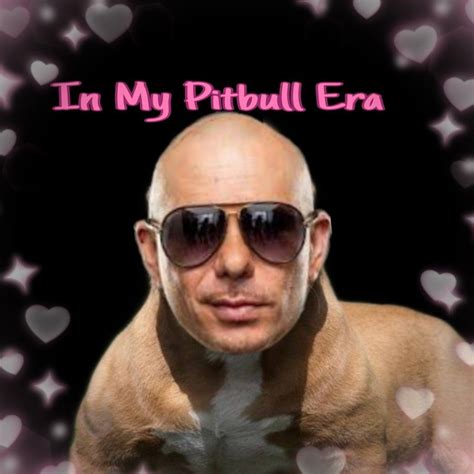 pitbull memes singer|funny pitbull memes.